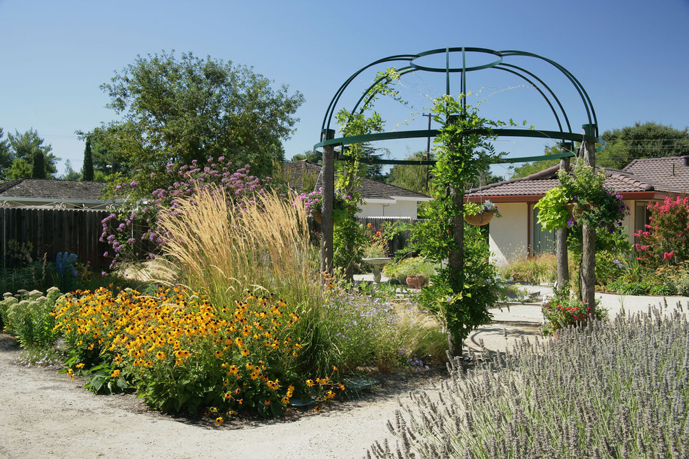 Jardin thérapeutiques