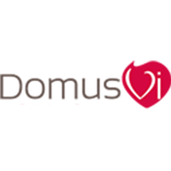 Domus vi